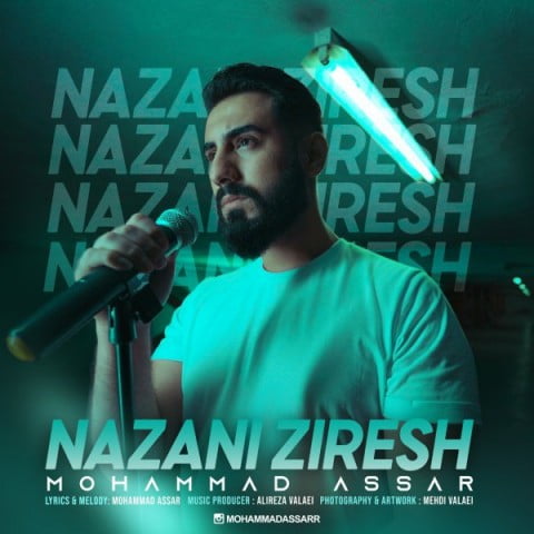 محمد عصار نزنی زیرش
